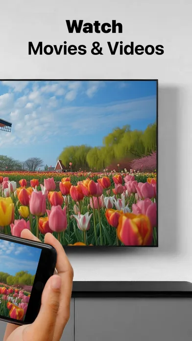 Mirror for Chromecast app screenshot 2