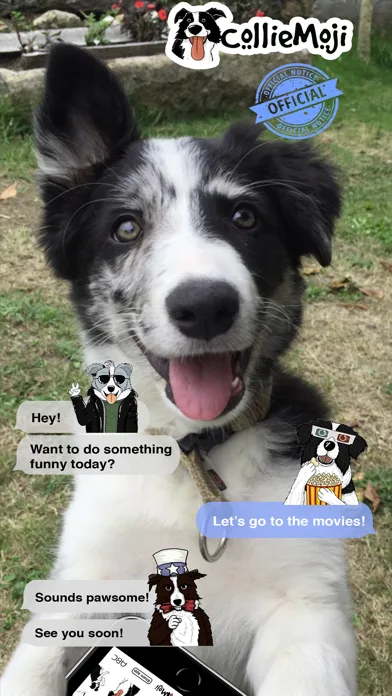 CollieMoji - Original Stickers screenshot 2
