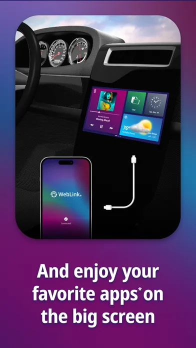 WebLink Host screenshot 3