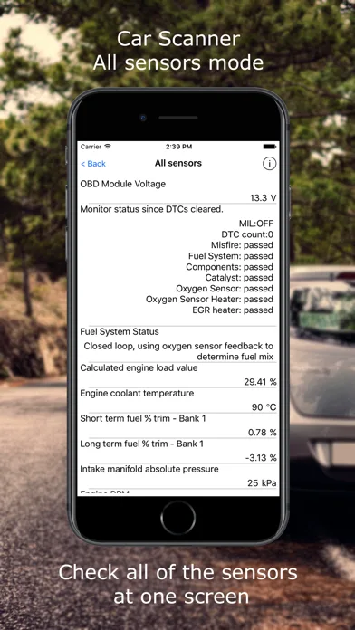 Car Scanner ELM OBD2 screenshot 3