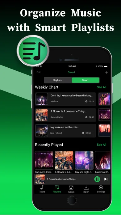 Offline Music Player screenshot 3