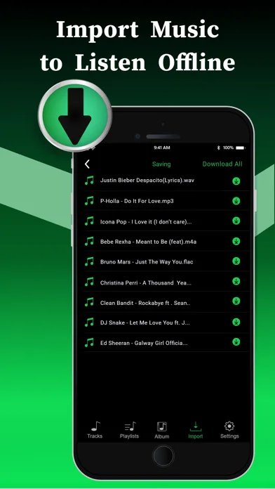 Offline Music Player screenshot 5