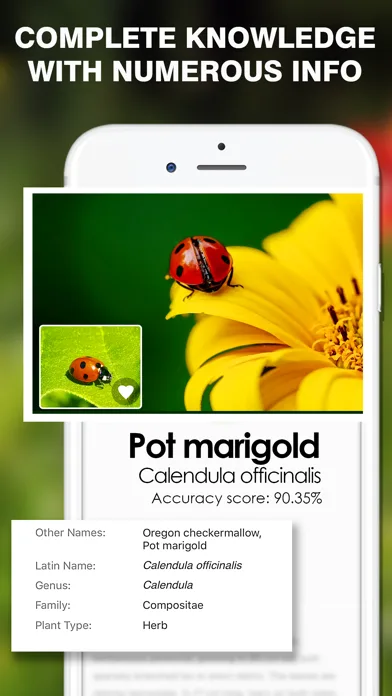 Smart Identifier: Plant+Insect screenshot 1
