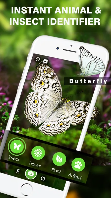 Smart Identifier: Plant+Insect screenshot 3