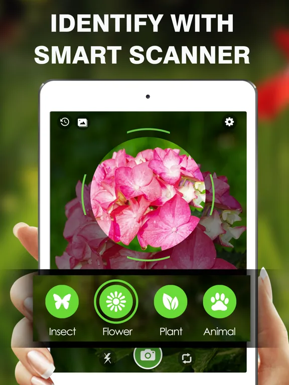 Smart Identifier: Plant+Insect screenshot 4