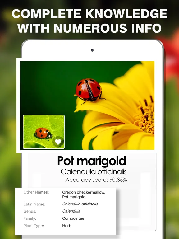 Smart Identifier: Plant+Insect screenshot 5