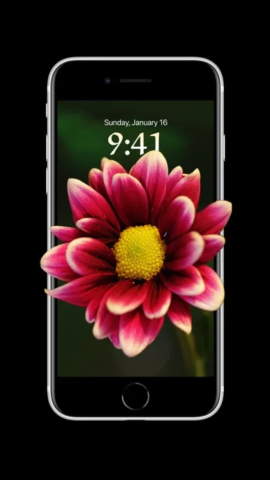 Depth Wallpaper & Live Effect screenshot 4