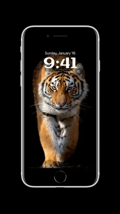Depth Wallpaper & Live Effect screenshot 5