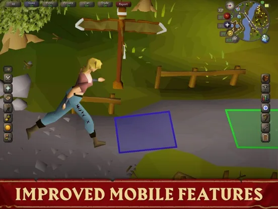Old School RuneScape screenshot 5
