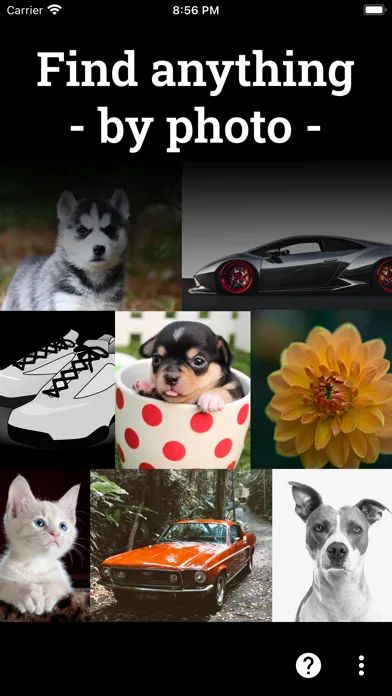 Photo Sherlock search by image screenshot 2
