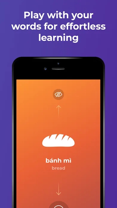 Learn Vietnamese Language fast screenshot 2