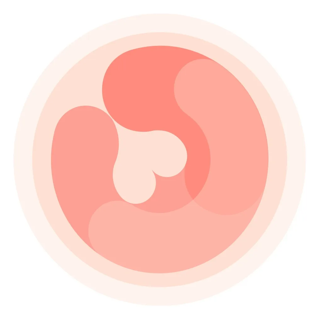 HiMommy: Ovulation & Pregnancy