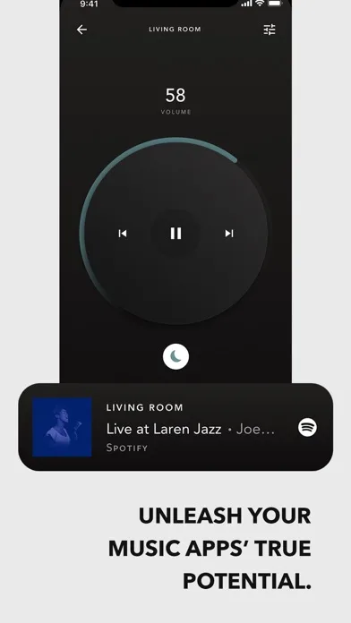 Devialet screenshot 4