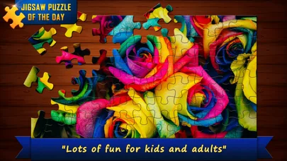 Jigsaw Puzzle Of The Day screenshot 4