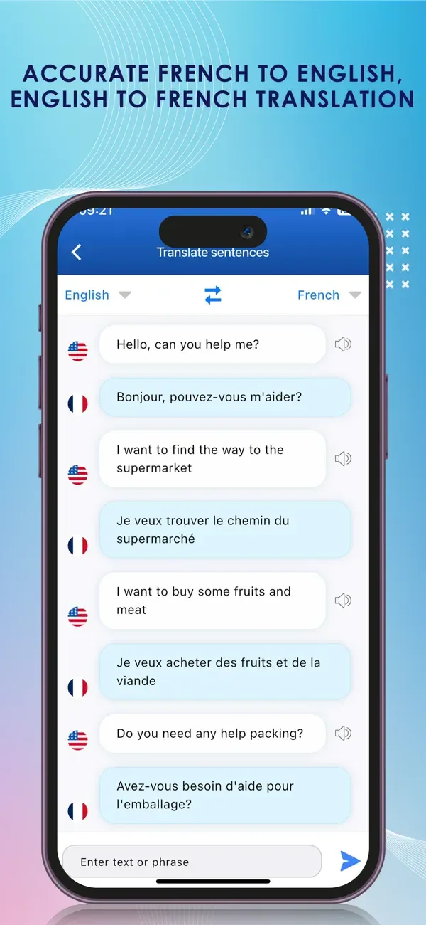 French Dictionary & Translator screenshot 4