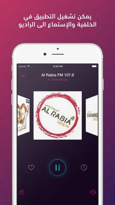 Arabic Radio FM screenshot 2