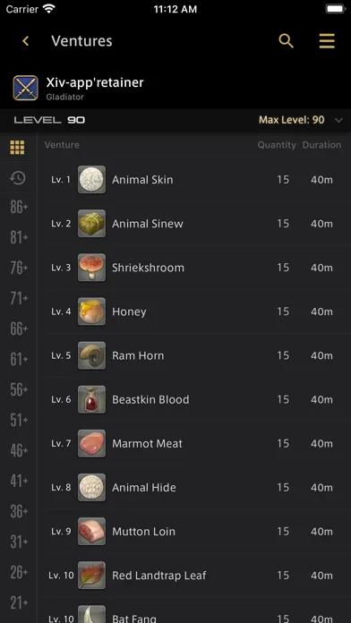 FINAL FANTASY XIV Companion screenshot 3