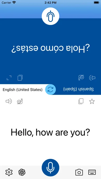 Instant Voice Translate screenshot 1