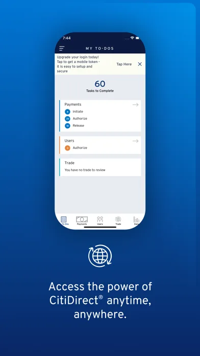 CitiDirect screenshot 1