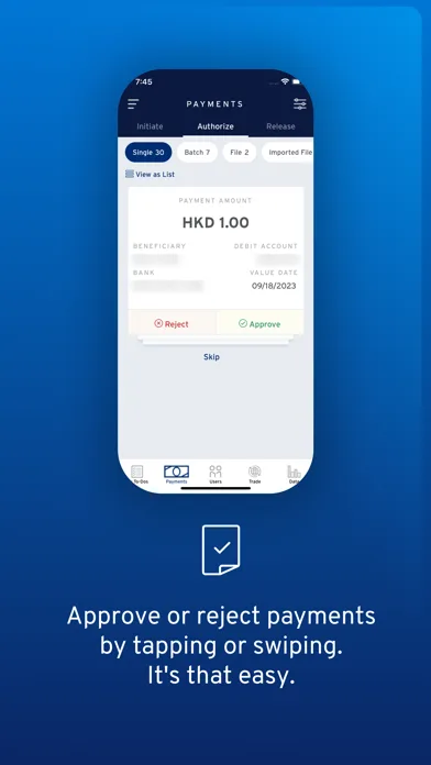 CitiDirect screenshot 2