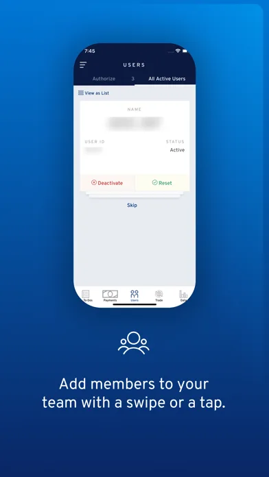 CitiDirect screenshot 3