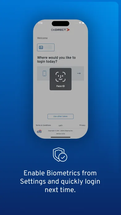 CitiDirect screenshot 4