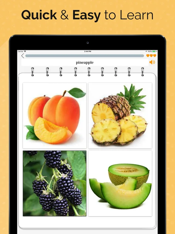 Vocabulary builder: Vocab Word screenshot 5