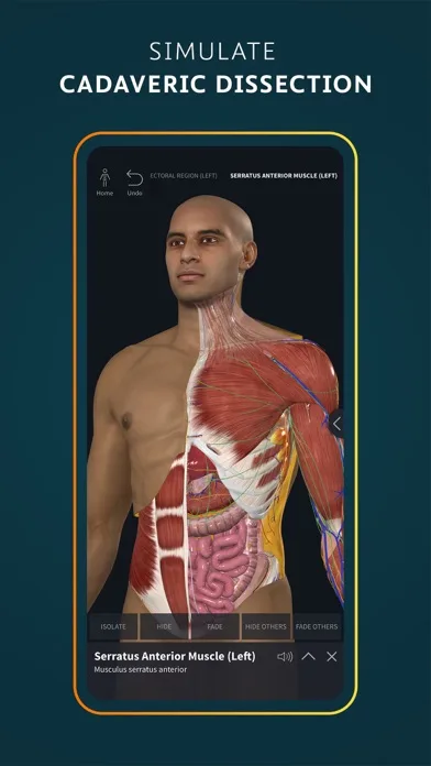 Complete Anatomy for iPhone screenshot 2