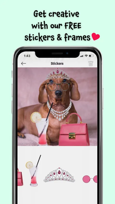 Petzbe: Pet Social Media screenshot 2