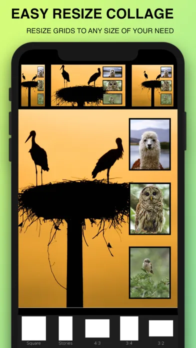 Photo Collage Maker : Pic Grid screenshot 4