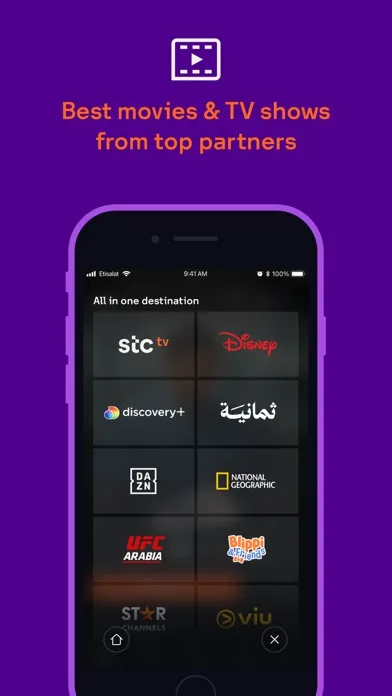 stc tv screenshot 2