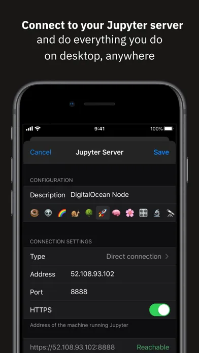 Juno Connect: Jupyter Client screenshot 1