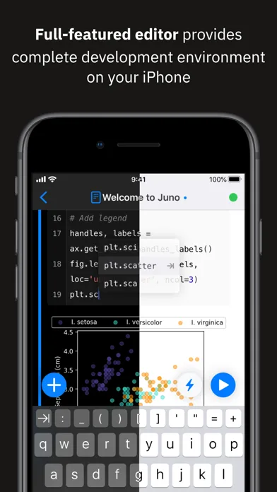 Juno Connect: Jupyter Client screenshot 2