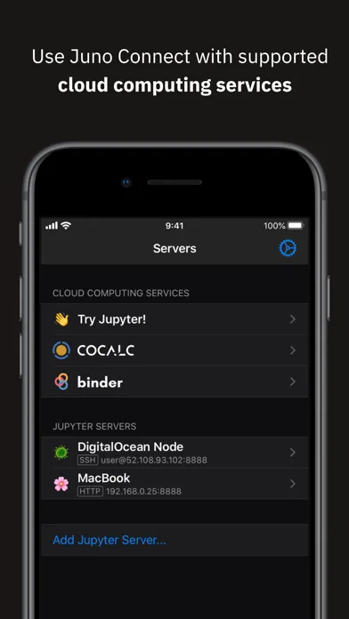 Juno Connect: Jupyter Client screenshot 4