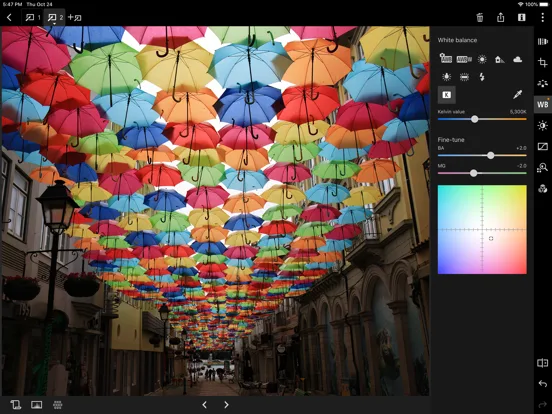 Canon DPP Express screenshot 5