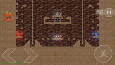 Fireboy and Watergirl Online 2 screenshot 3