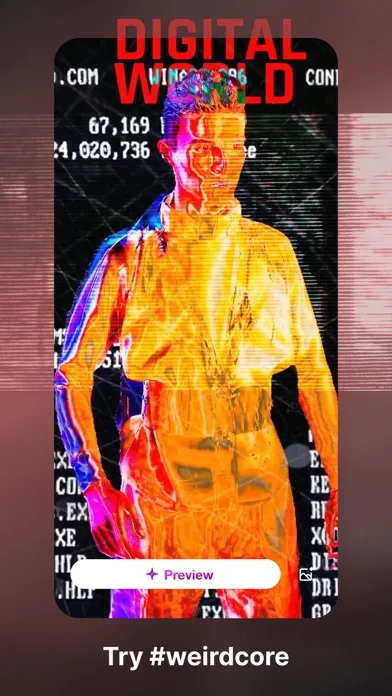 24FPS: Aesthetic Video Effects screenshot 4