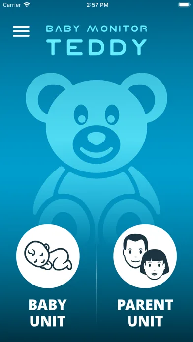 Baby Monitor TEDDY-baby camera screenshot 2