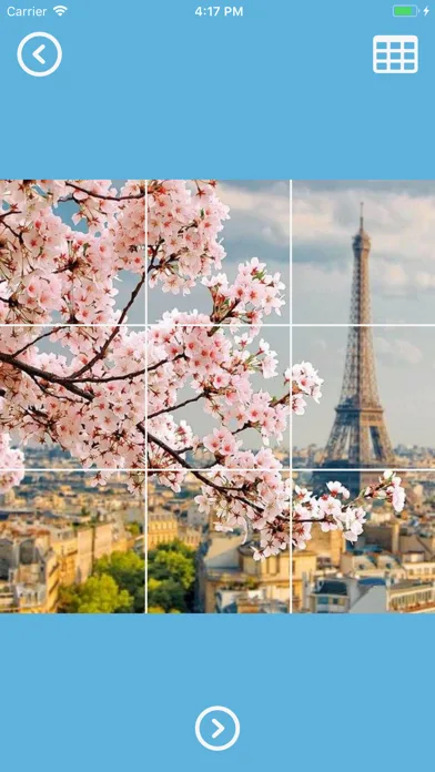 Grids for Instagram - 9 photos screenshot 1