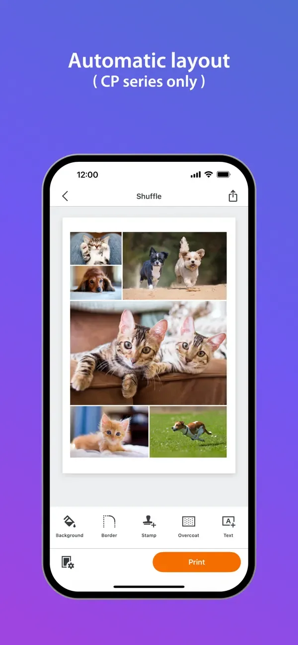 SELPHY Photo Layout screenshot 5