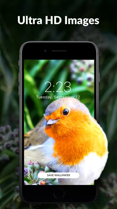 Wallpaper Tree: 4K Wallpapers screenshot 2