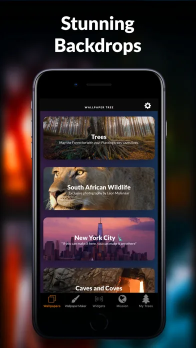 Wallpaper Tree: 4K Wallpapers screenshot 3