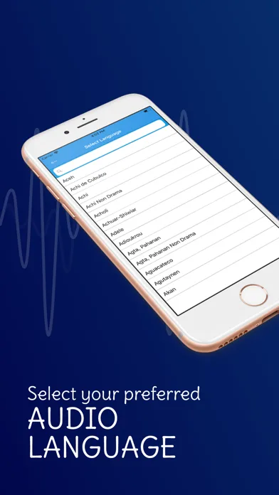 Audio Bible · screenshot 1