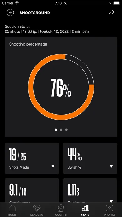 SIQ Basketball screenshot 1