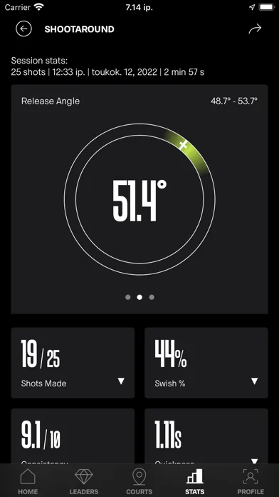 SIQ Basketball screenshot 2