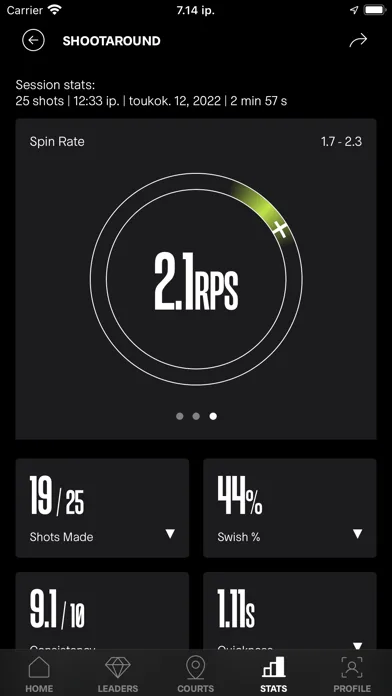 SIQ Basketball screenshot 3