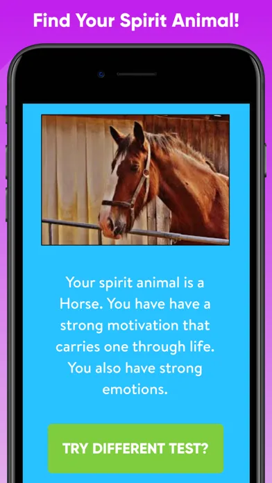 Which Animal Are You? screenshot 2