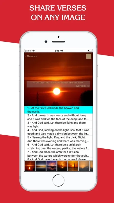 New Testament - KJV screenshot 5