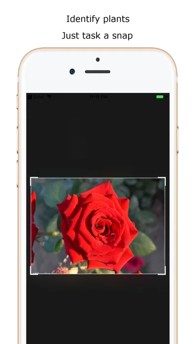 iplant - Plant Identification screenshot 1