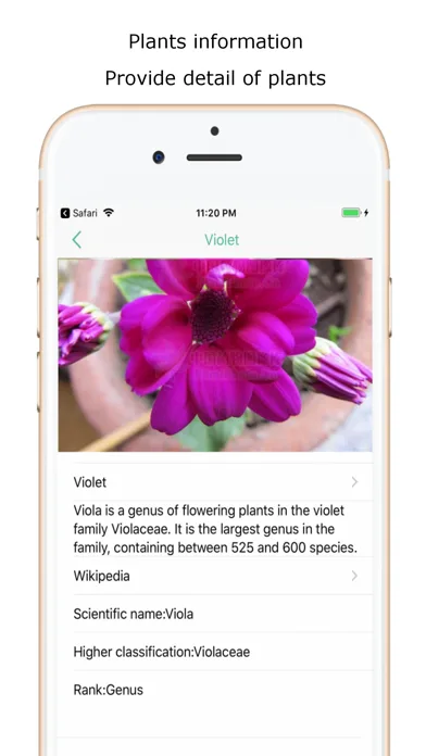 iplant - Plant Identification screenshot 2